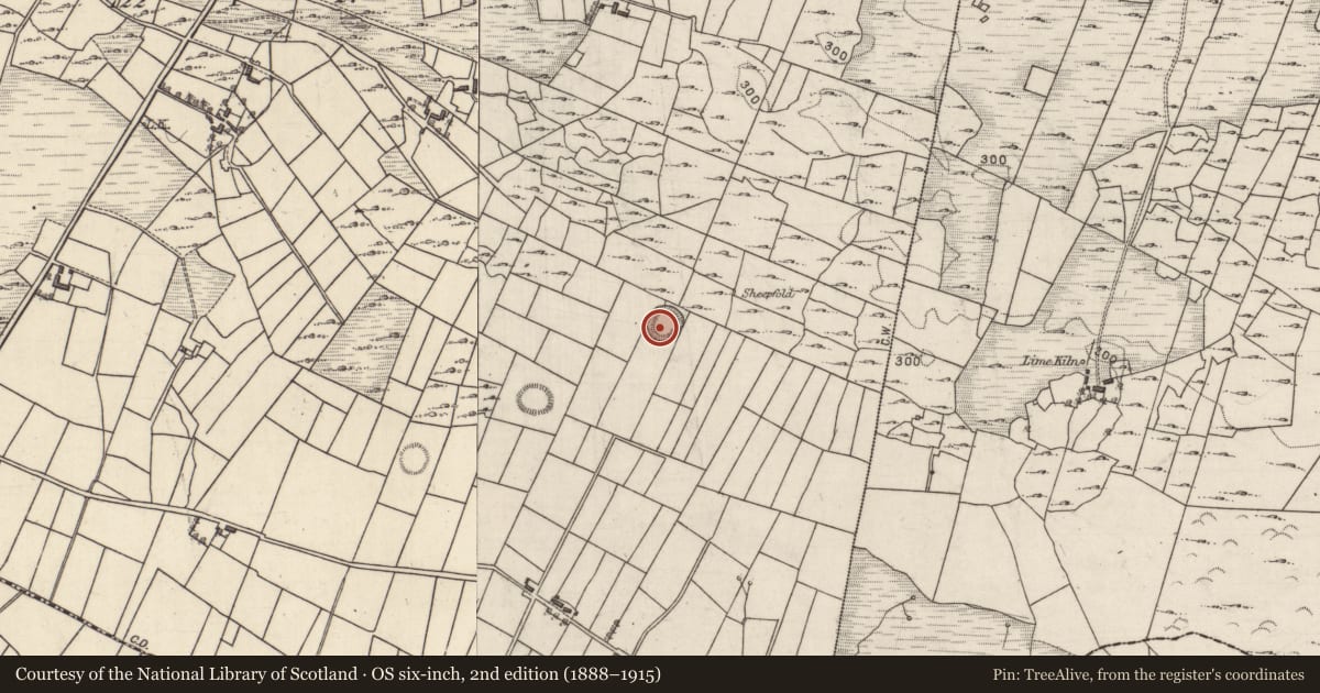 Ordnance Survey six-inch map, 2nd edition (1888–1915) covering the location of Children's burial ground, Quinaltagh, County Galway, with a pin at the register's coordinates