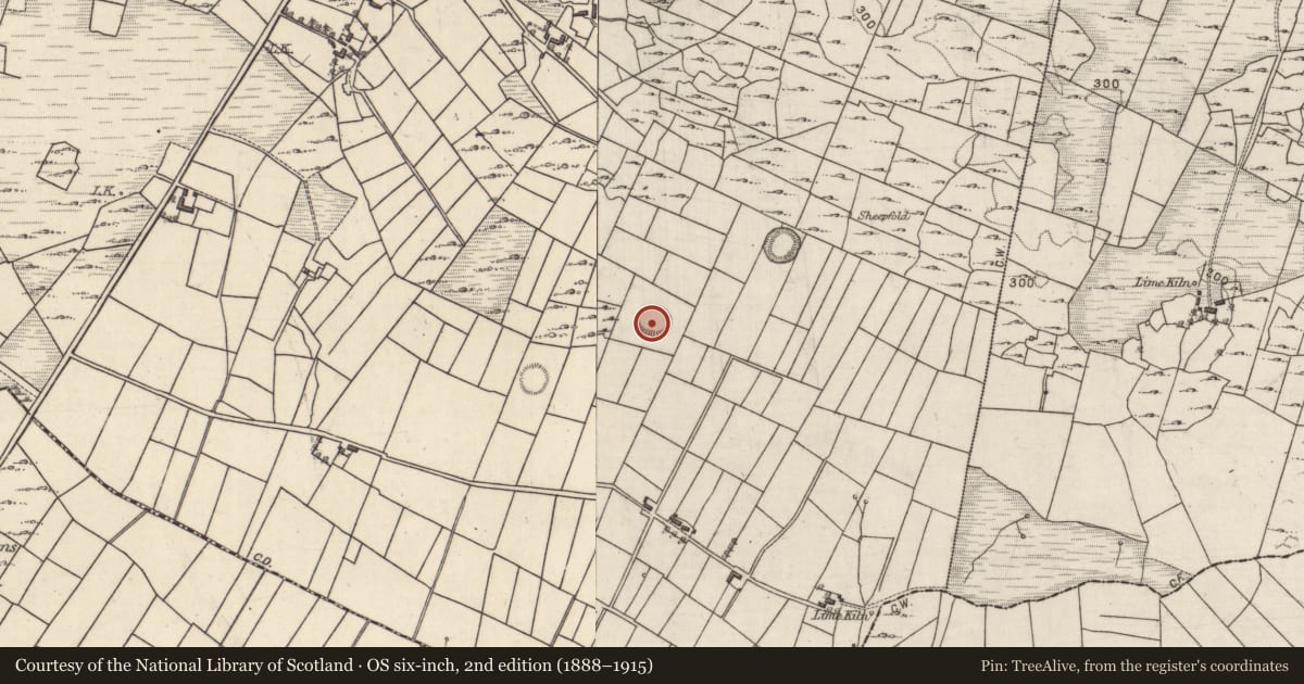 Ordnance Survey six-inch map, 2nd edition (1888–1915) covering the location of Ringfort - cashel, Quinaltagh, County Galway, with a pin at the register's coordinates