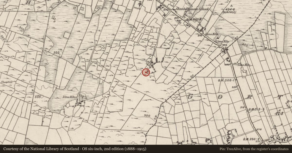 Ordnance Survey six-inch map, 2nd edition (1888–1915) covering the location of Structure, Shanballymore, County Galway, with a pin at the register's coordinates