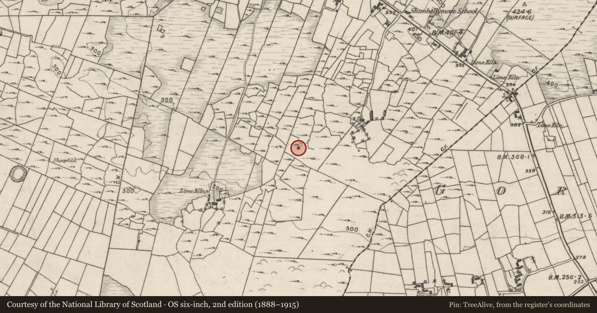 Ordnance Survey six-inch map, 2nd edition (1888–1915) covering the location of Sweathouse, Shanballymore, County Galway, with a pin at the register's coordinates