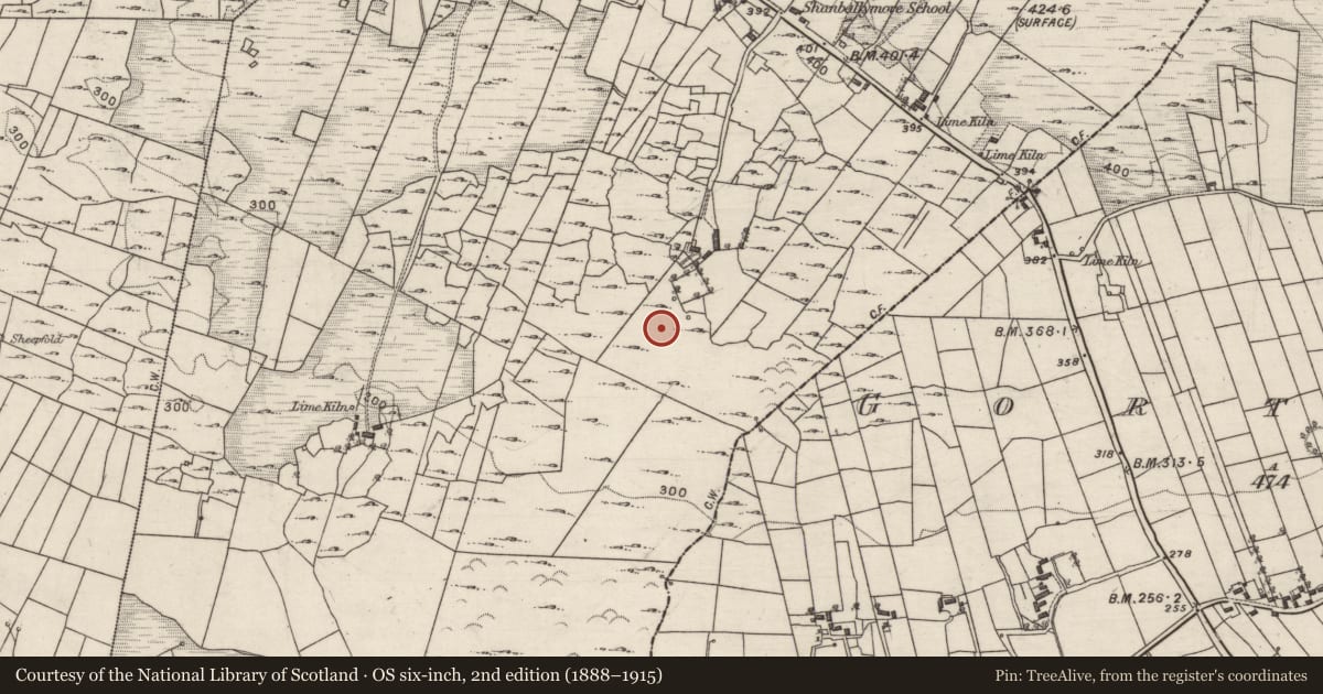 Ordnance Survey six-inch map, 2nd edition (1888–1915) covering the location of Sweathouse, Shanballymore, County Galway, with a pin at the register's coordinates