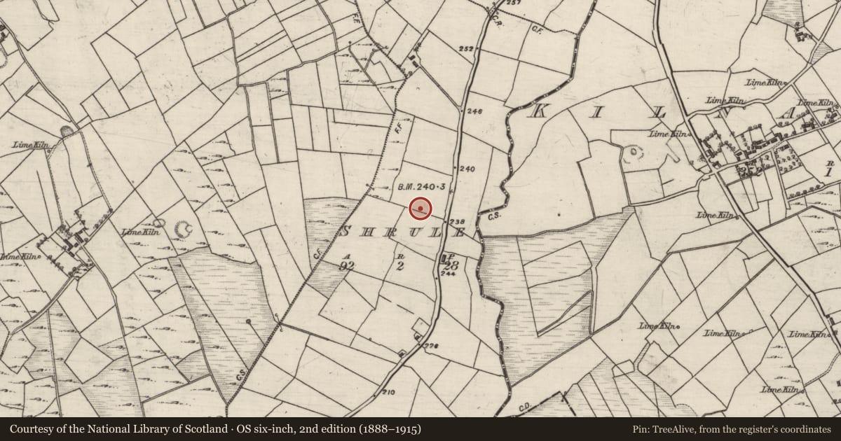 Ordnance Survey six-inch map, 2nd edition (1888–1915) covering the location of Ringfort - rath, Shrule, County Galway, with a pin at the register's coordinates