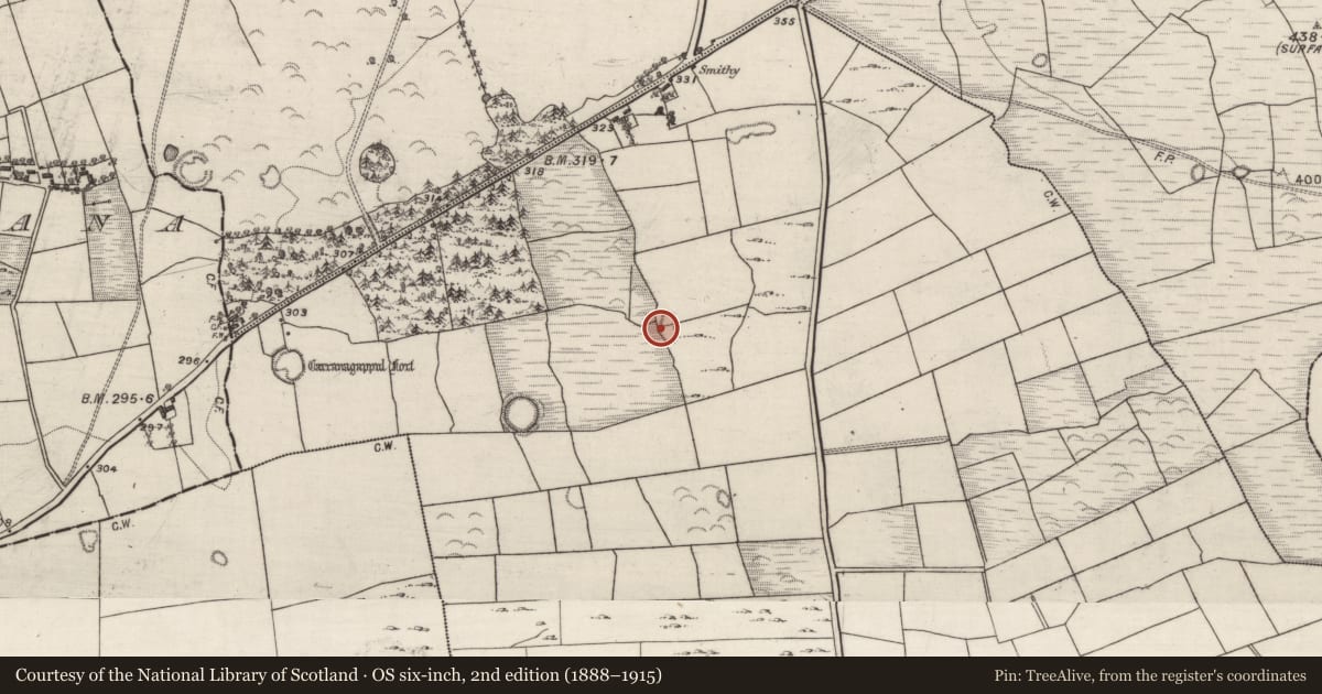 Ordnance Survey six-inch map, 2nd edition (1888–1915) covering the location of Quarry, Tobernaclug, County Galway, with a pin at the register's coordinates