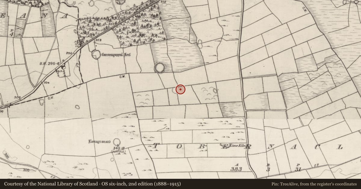 Ordnance Survey six-inch map, 2nd edition (1888–1915) covering the location of Ringfort - unclassified, Tobernaclug, County Galway, with a pin at the register's coordinates