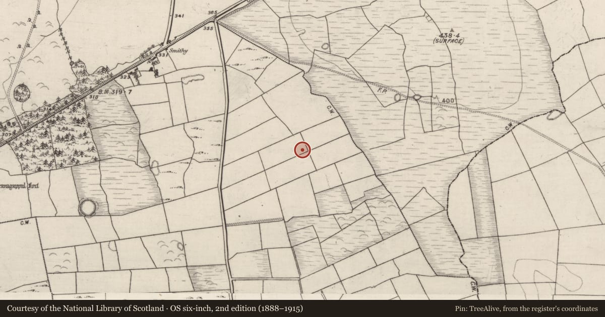 Ordnance Survey six-inch map, 2nd edition (1888–1915) covering the location of Ringfort - unclassified, Tobernaclug, County Galway, with a pin at the register's coordinates