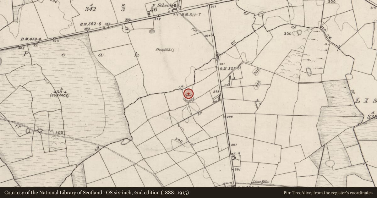 Ordnance Survey six-inch map, 2nd edition (1888–1915) covering the location of Ringfort - rath, Woodfield, County Galway, with a pin at the register's coordinates