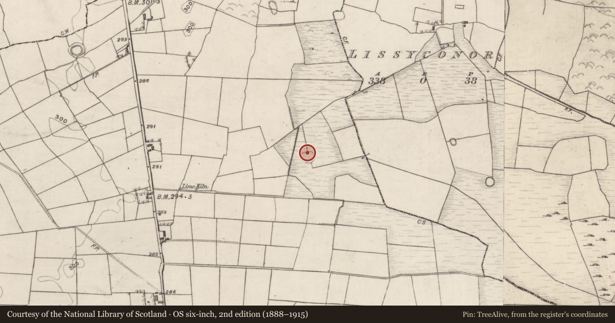 Ordnance Survey six-inch map, 2nd edition (1888–1915) covering the location of Ringfort - rath, Woodfield, County Galway, with a pin at the register's coordinates