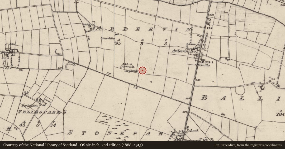 Ordnance Survey six-inch map, 2nd edition (1888–1915) covering the location of Ringfort - unclassified, Ardeevin, County Galway, with a pin at the register's coordinates
