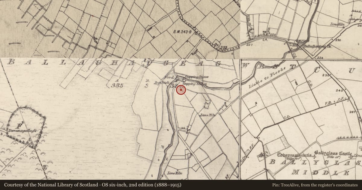 Ordnance Survey six-inch map, 2nd edition (1888–1915) covering the location of Enclosure, Ballaghaugeag West, County Galway, with a pin at the register's coordinates