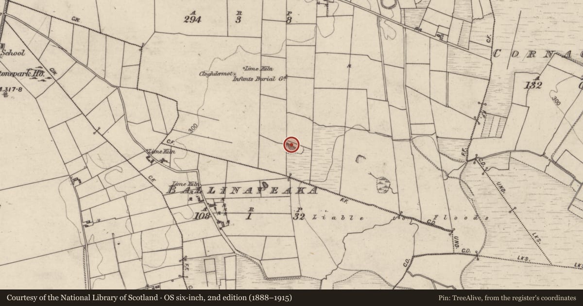 Ordnance Survey six-inch map, 2nd edition (1888–1915) covering the location of Quarry, Ballinastack, County Galway, with a pin at the register's coordinates