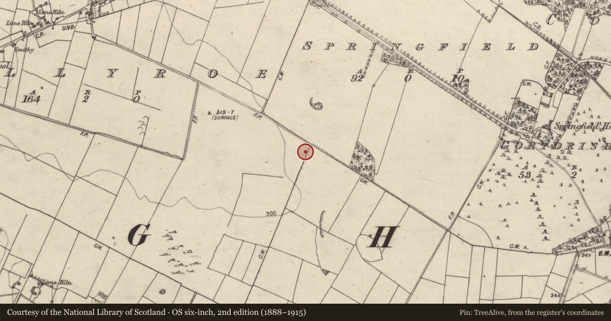 Ordnance Survey six-inch map, 2nd edition (1888–1915) covering the location of Quarry, Ballyroe, County Galway, with a pin at the register's coordinates
