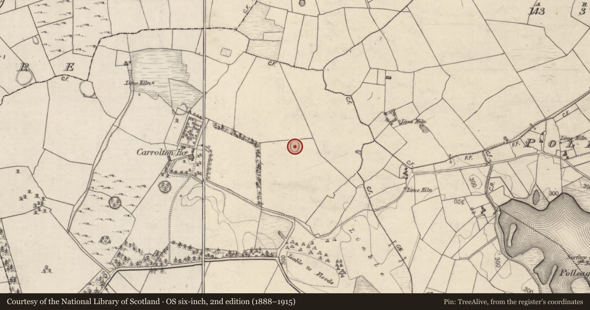 Ordnance Survey six-inch map, 2nd edition (1888–1915) covering the location of Ringfort - rath, Beagh, County Galway, with a pin at the register's coordinates