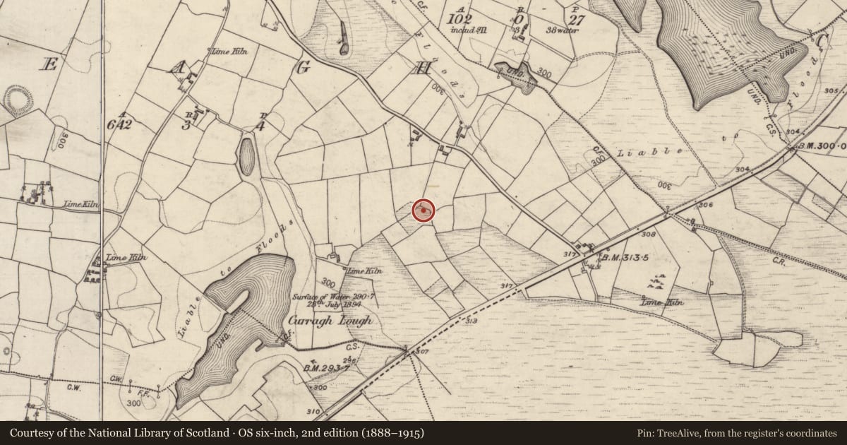 Ordnance Survey six-inch map, 2nd edition (1888–1915) covering the location of Altar, Beagh, County Galway, with a pin at the register's coordinates