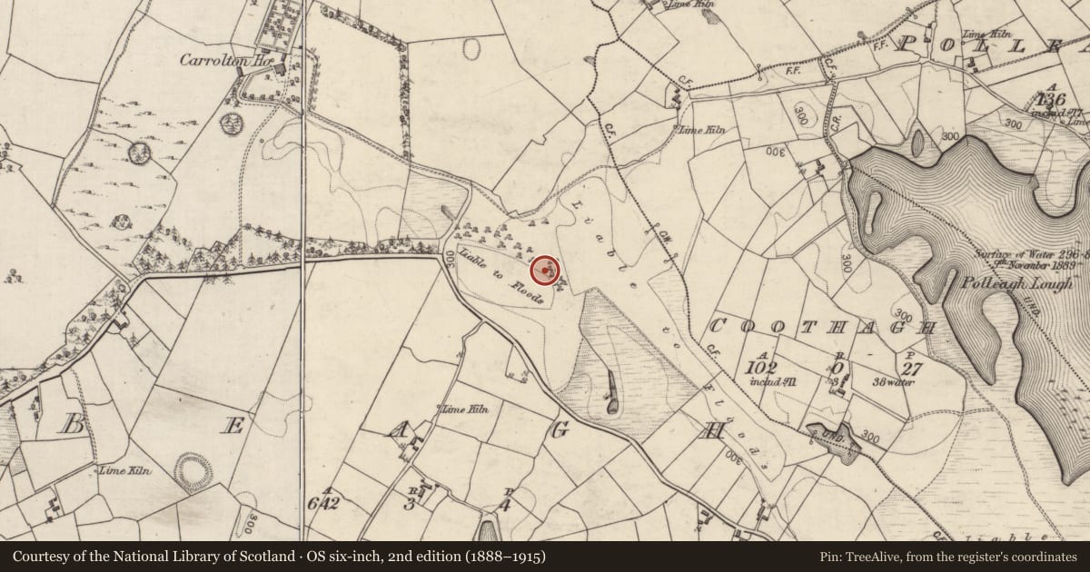 Ordnance Survey six-inch map, 2nd edition (1888–1915) covering the location of Crannog, Beagh, County Galway, with a pin at the register's coordinates