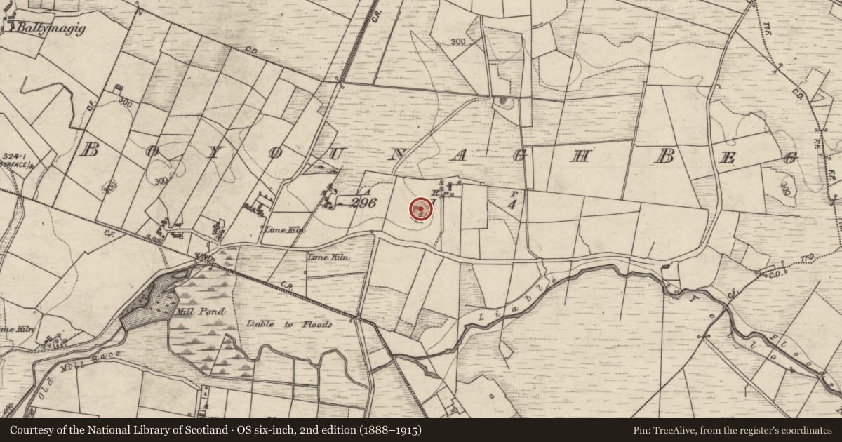 Ordnance Survey six-inch map, 2nd edition (1888–1915) covering the location of Enclosure, Boyounagh Beg, County Galway, with a pin at the register's coordinates