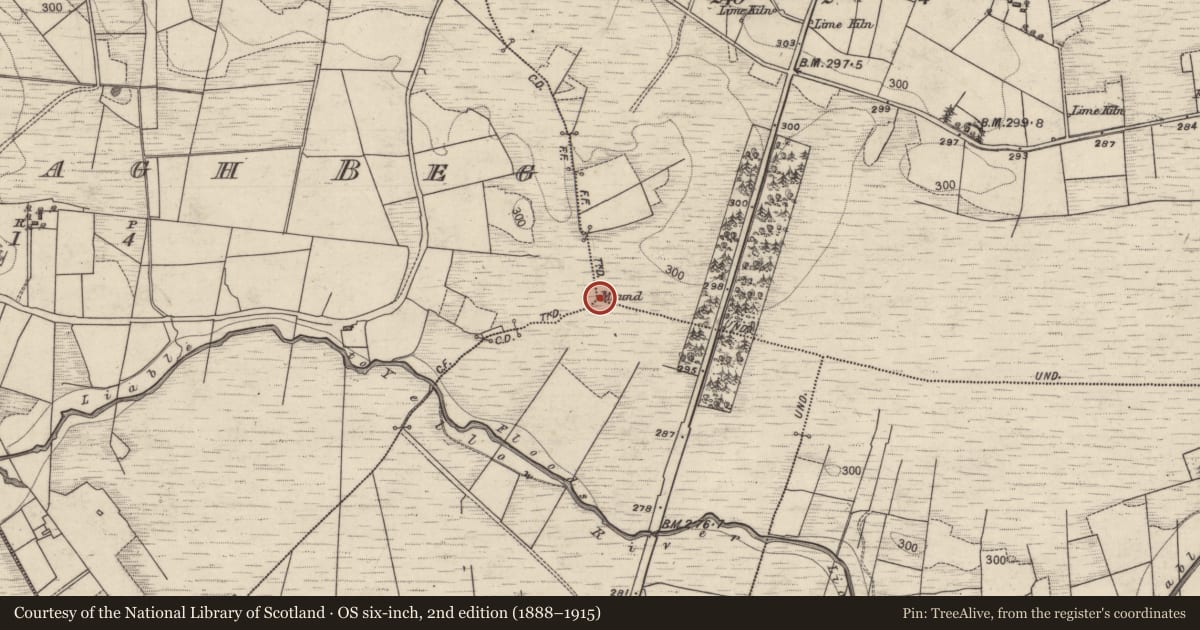 Ordnance Survey six-inch map, 2nd edition (1888–1915) covering the location of Boundary mound, County Galway, with a pin at the register's coordinates