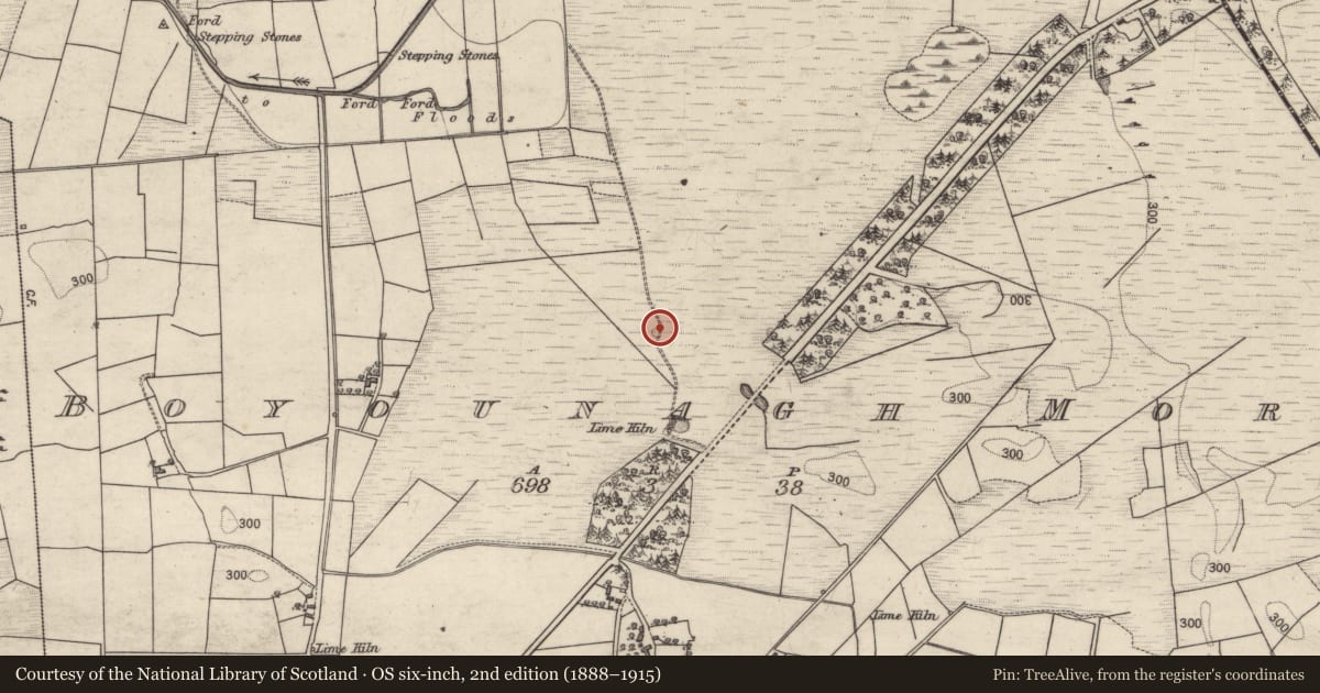 Ordnance Survey six-inch map, 2nd edition (1888–1915) covering the location of Quarry, Boyounagh More, County Galway, with a pin at the register's coordinates