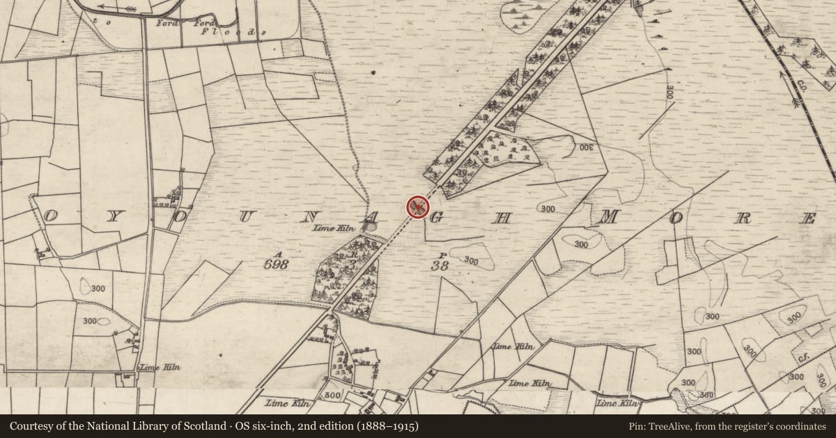 Ordnance Survey six-inch map, 2nd edition (1888–1915) covering the location of Quarry, Boyounagh More, County Galway, with a pin at the register's coordinates
