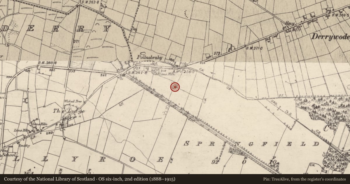 Ordnance Survey six-inch map, 2nd edition (1888–1915) covering the location of Designed landscape - tree-ring, Carrownderry, County Galway, with a pin at the register's coordinates