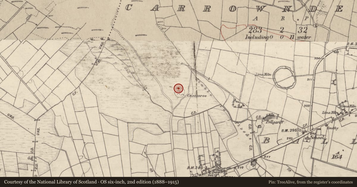 Ordnance Survey six-inch map, 2nd edition (1888–1915) covering the location of Crannog, Carrownderry, County Galway, with a pin at the register's coordinates