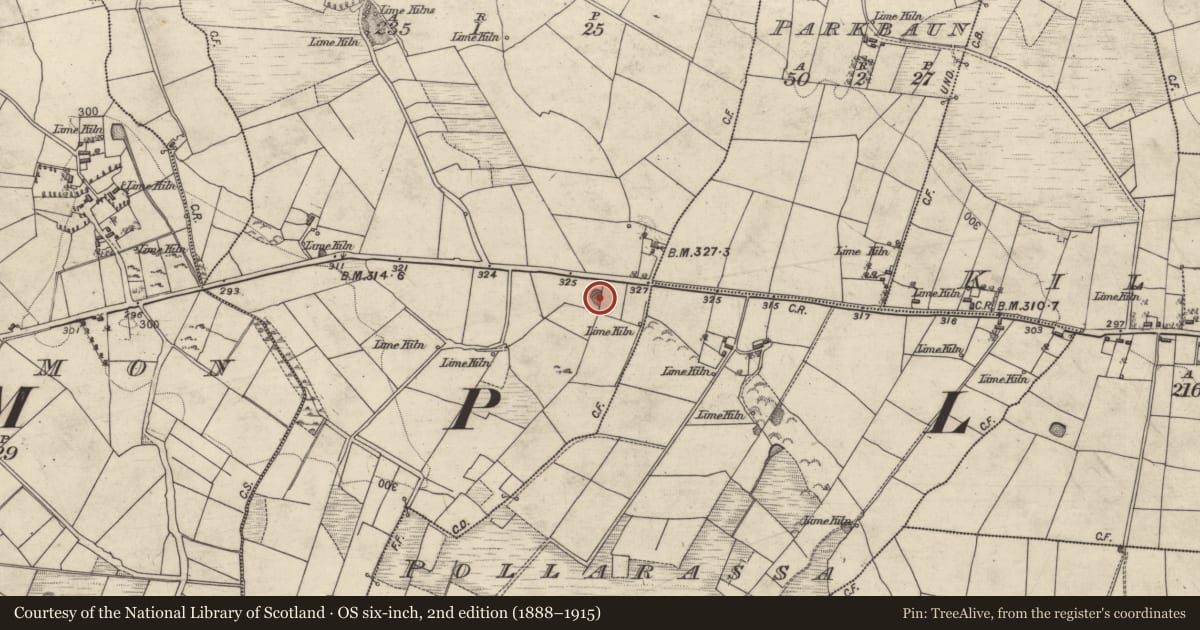 Ordnance Survey six-inch map, 2nd edition (1888–1915) covering the location of Quarry, Carrowneany, County Galway, with a pin at the register's coordinates