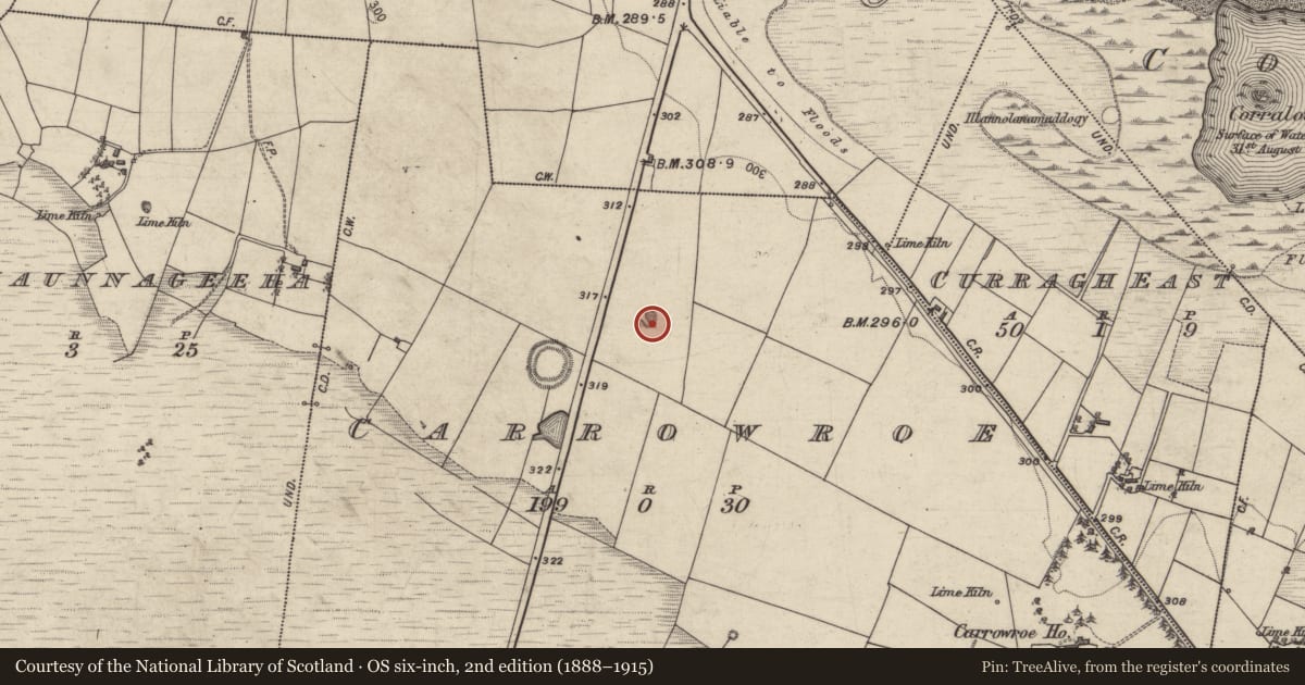 Ordnance Survey six-inch map, 2nd edition (1888–1915) covering the location of Quarry, Carrowroe, County Galway, with a pin at the register's coordinates