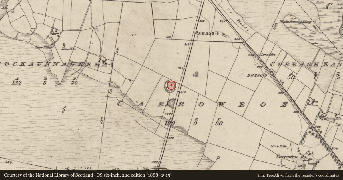 Ordnance Survey six-inch map, 2nd edition (1888–1915) covering the location of Ringfort - rath, Carrowroe, County Galway, with a pin at the register's coordinates