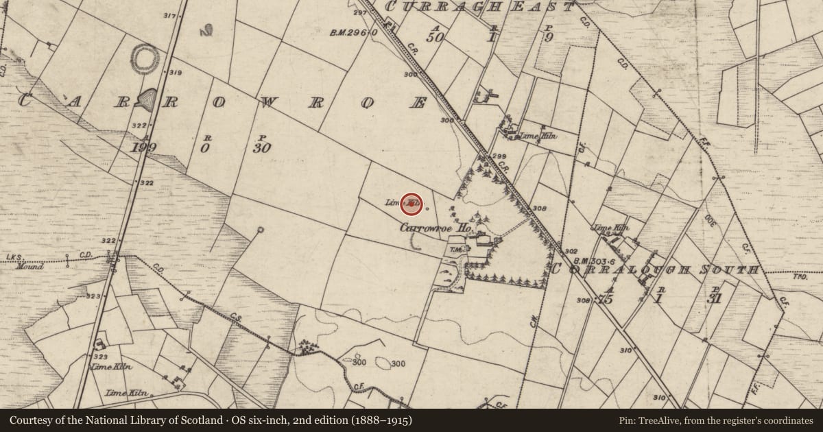 Ordnance Survey six-inch map, 2nd edition (1888–1915) covering the location of Ringfort - unclassified, Carrowroe, County Galway, with a pin at the register's coordinates