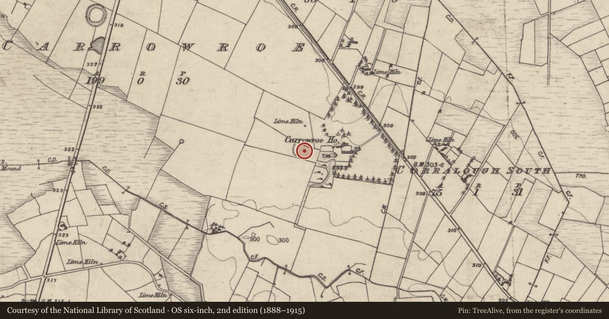 Ordnance Survey six-inch map, 2nd edition (1888–1915) covering the location of Ringfort - unclassified, Carrowroe, County Galway, with a pin at the register's coordinates
