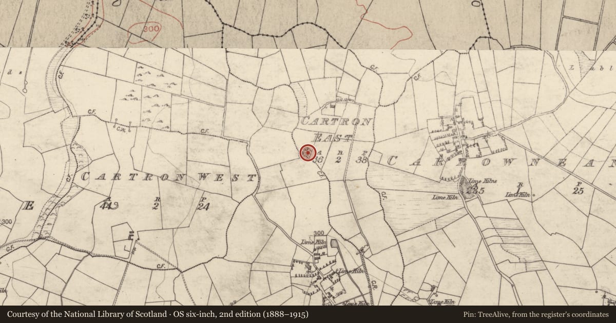 Ordnance Survey six-inch map, 2nd edition (1888–1915) covering the location of Ringfort - rath, Cartron East, Pollremon, County Galway, with a pin at the register's coordinates