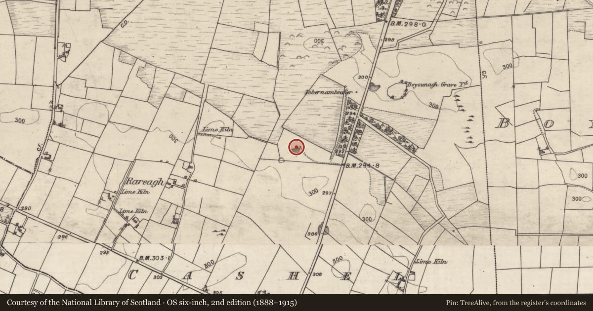 Ordnance Survey six-inch map, 2nd edition (1888–1915) covering the location of Quarry, Cashel, County Galway, with a pin at the register's coordinates