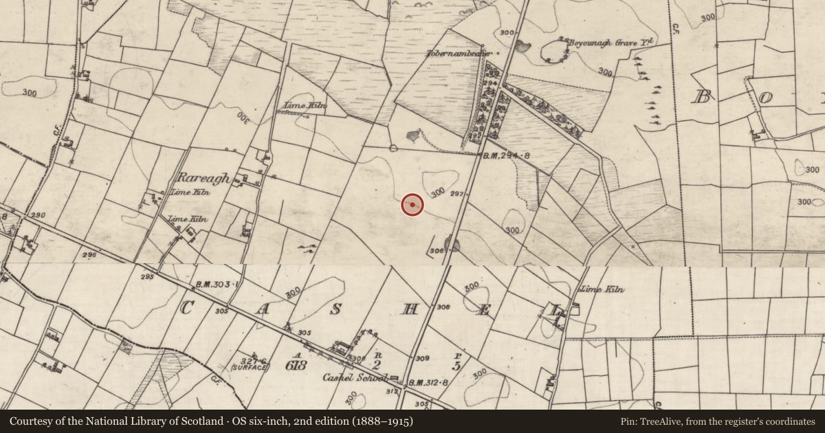 Ordnance Survey six-inch map, 2nd edition (1888–1915) covering the location of Cairn - wayside cairn, Cashel, County Galway, with a pin at the register's coordinates