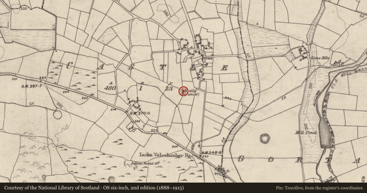 Ordnance Survey six-inch map, 2nd edition (1888–1915) covering the location of Earthwork, Castle, County Galway, with a pin at the register's coordinates