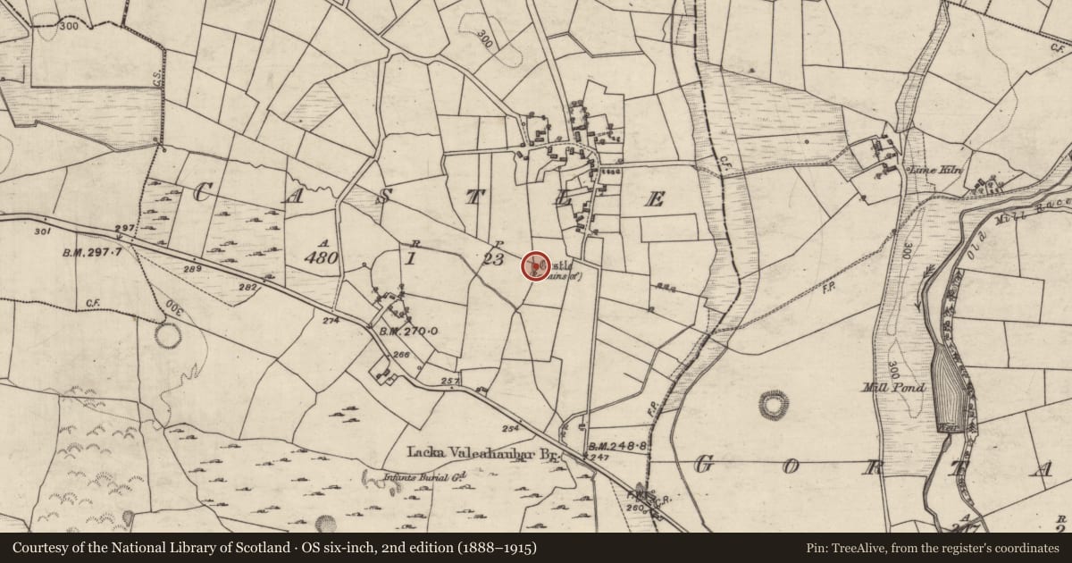 Ordnance Survey six-inch map, 2nd edition (1888–1915) covering the location of Castle - unclassified, County Galway, with a pin at the register's coordinates