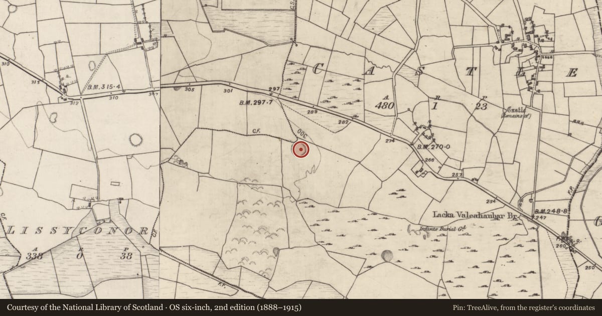 Ordnance Survey six-inch map, 2nd edition (1888–1915) covering the location of Ringfort - rath, Castle, County Galway, with a pin at the register's coordinates