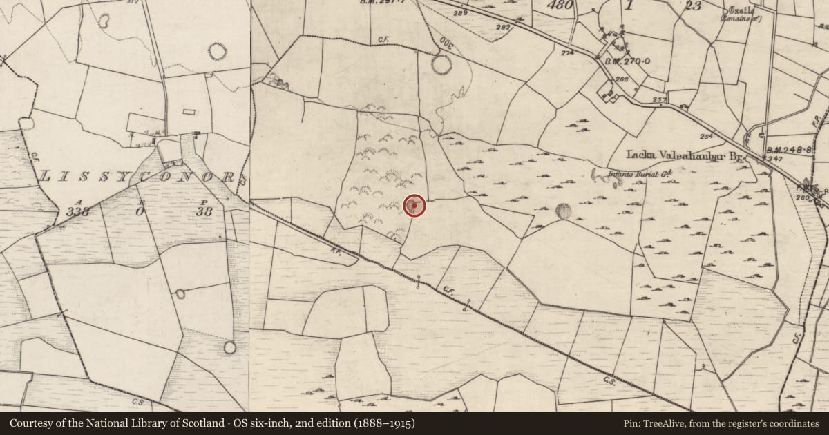 Ordnance Survey six-inch map, 2nd edition (1888–1915) covering the location of Quarry, Castle, County Galway, with a pin at the register's coordinates