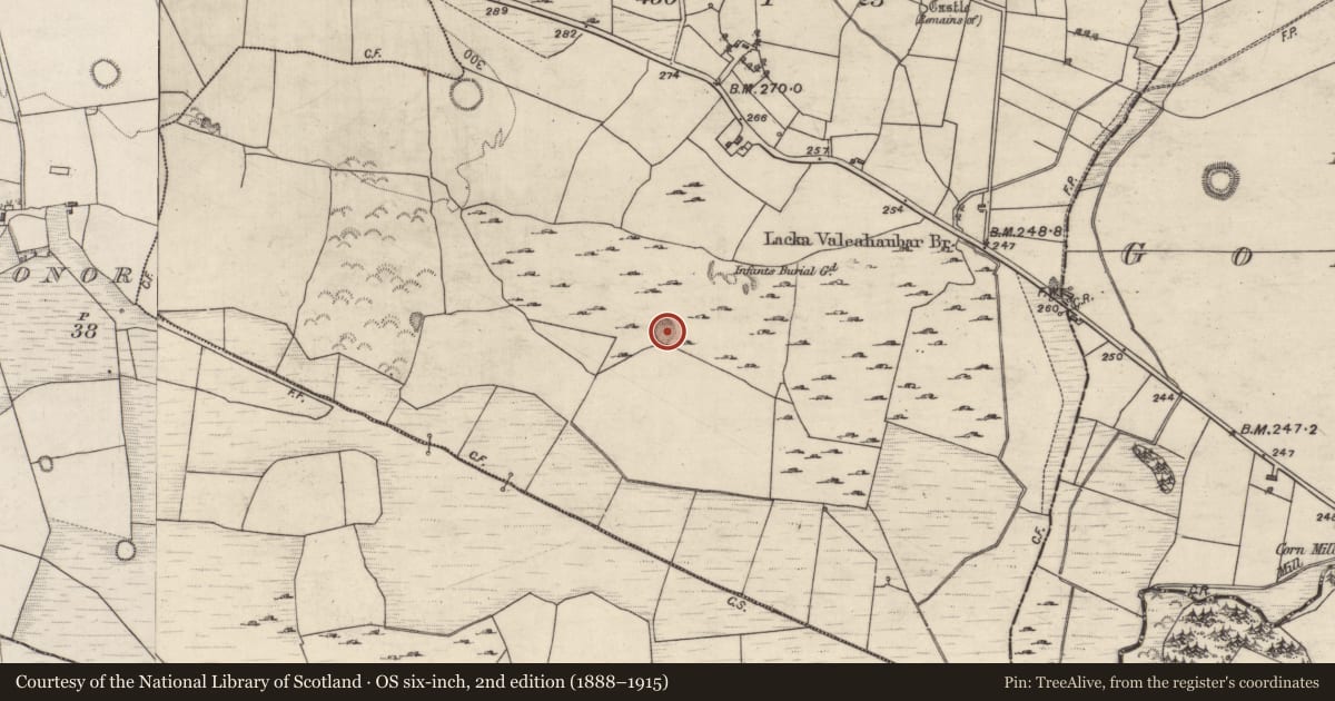 Ordnance Survey six-inch map, 2nd edition (1888–1915) covering the location of Quarry, Castle, County Galway, with a pin at the register's coordinates