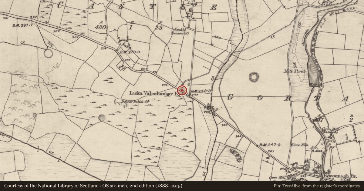 Ordnance Survey six-inch map, 2nd edition (1888–1915) covering the location of Bridge, Castle, County Galway, with a pin at the register's coordinates