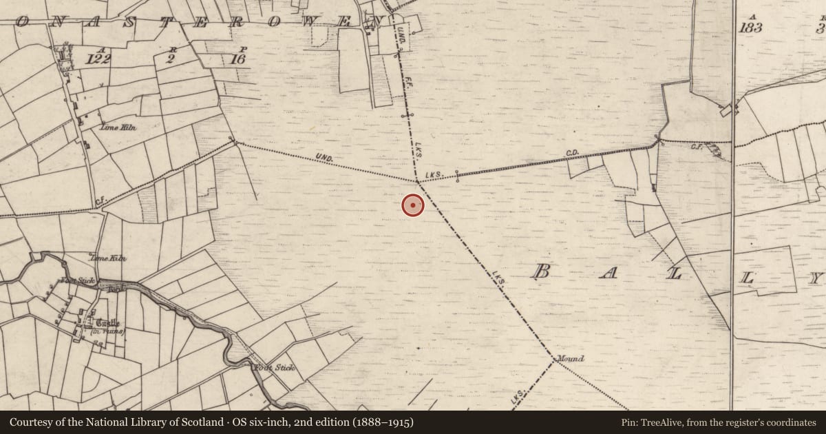 Ordnance Survey six-inch map, 2nd edition (1888–1915) covering the location of Road - class 2 togher, Castletogher, County Galway, with a pin at the register's coordinates