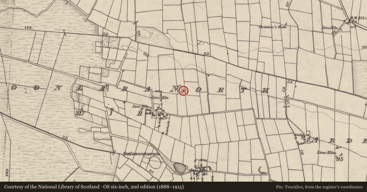 Ordnance Survey six-inch map, 2nd edition (1888–1915) covering the location of Ringfort - unclassified, Cloonlara North, County Galway, with a pin at the register's coordinates