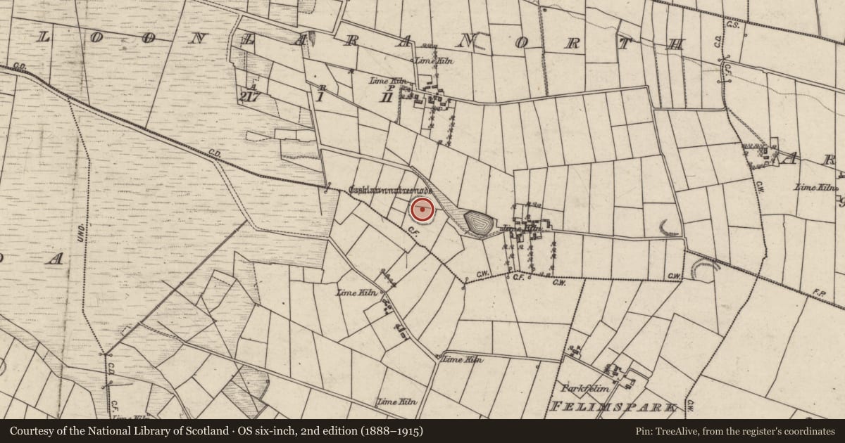 Ordnance Survey six-inch map, 2nd edition (1888–1915) covering the location of Enclosure, Cloonlara North, County Galway, with a pin at the register's coordinates