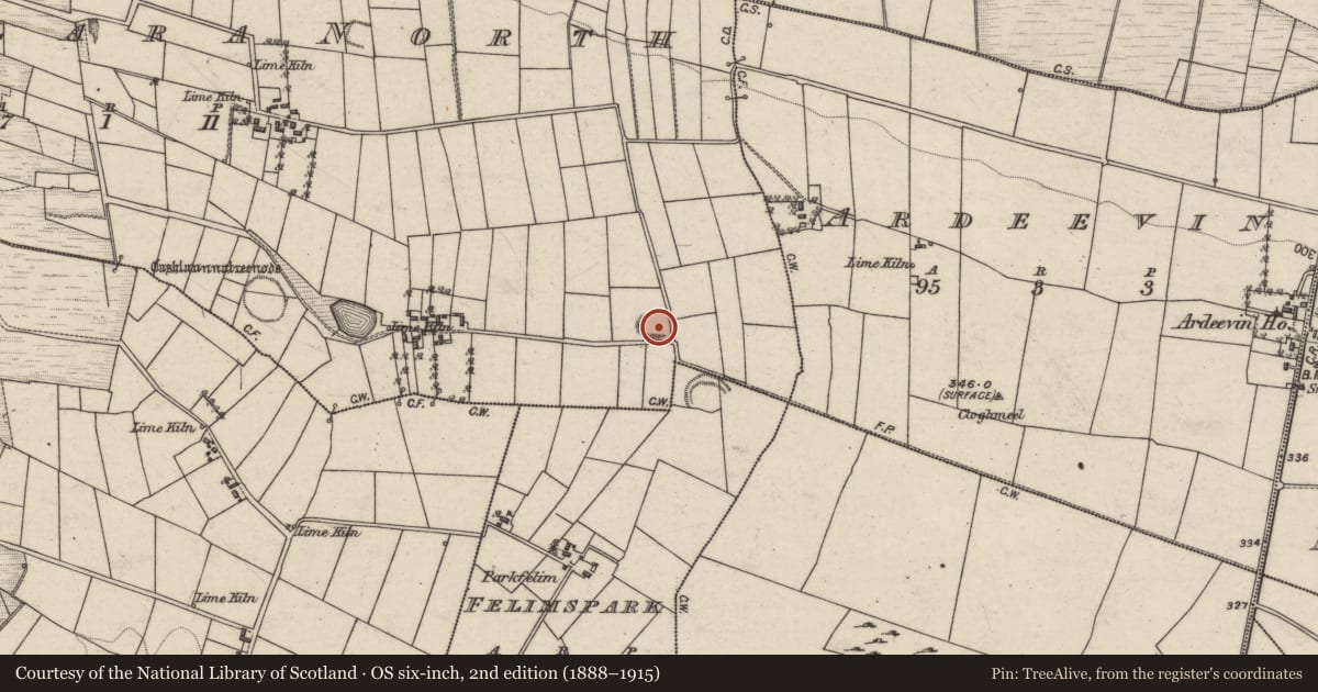 Ordnance Survey six-inch map, 2nd edition (1888–1915) covering the location of Enclosure, Cloonlara North, County Galway, with a pin at the register's coordinates