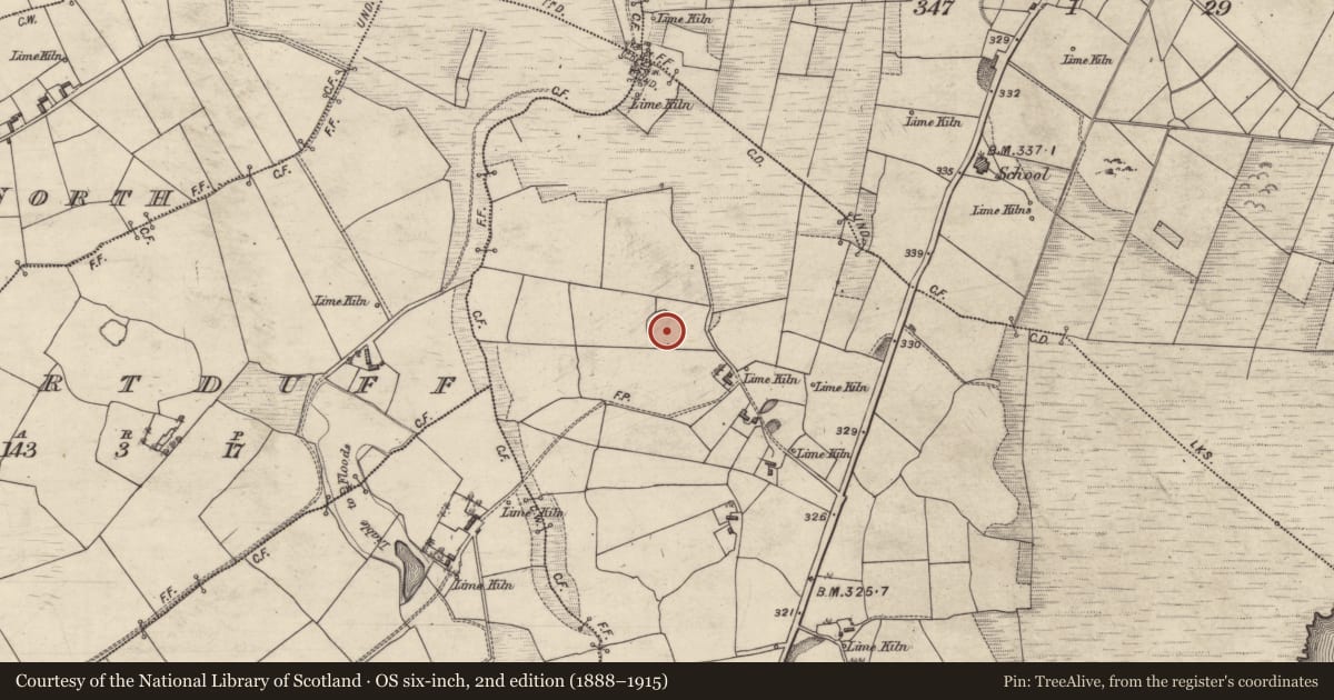 Ordnance Survey six-inch map, 2nd edition (1888–1915) covering the location of Ringfort - rath, Cloonmaghaura, County Galway, with a pin at the register's coordinates
