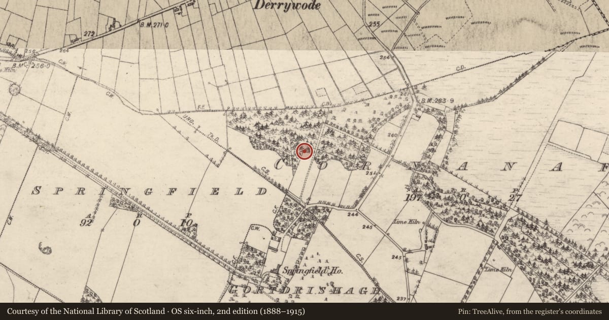 Ordnance Survey six-inch map, 2nd edition (1888–1915) covering the location of Earthwork, Cornanaff, County Galway, with a pin at the register's coordinates