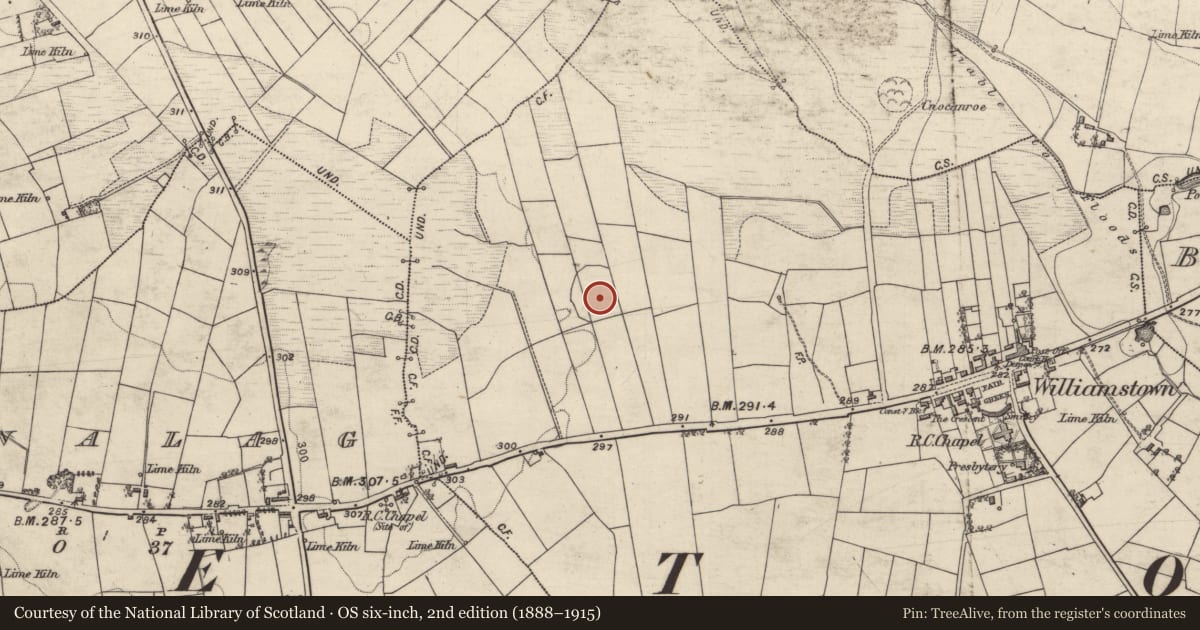 Ordnance Survey six-inch map, 2nd edition (1888–1915) covering the location of Enclosure, Corralough, County Galway, with a pin at the register's coordinates