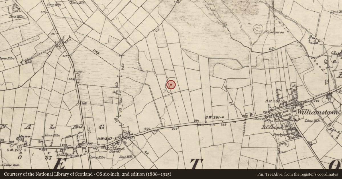 Ordnance Survey six-inch map, 2nd edition (1888–1915) covering the location of Enclosure, Corralough, County Galway, with a pin at the register's coordinates