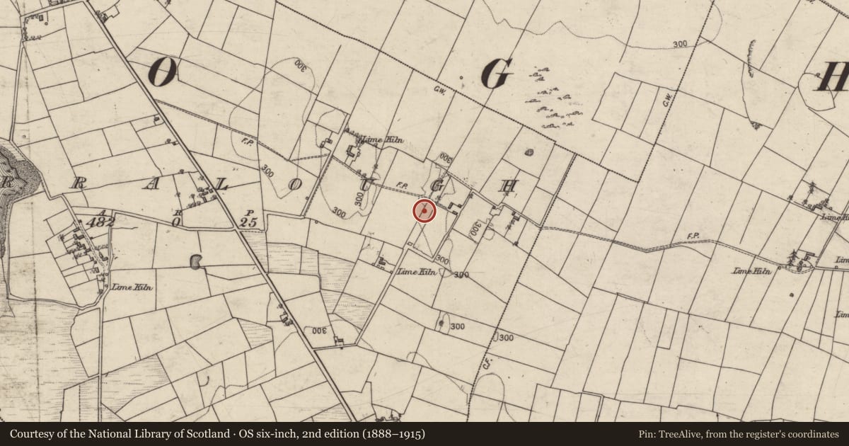 Ordnance Survey six-inch map, 2nd edition (1888–1915) covering the location of Quarry, Corralough, County Galway, with a pin at the register's coordinates