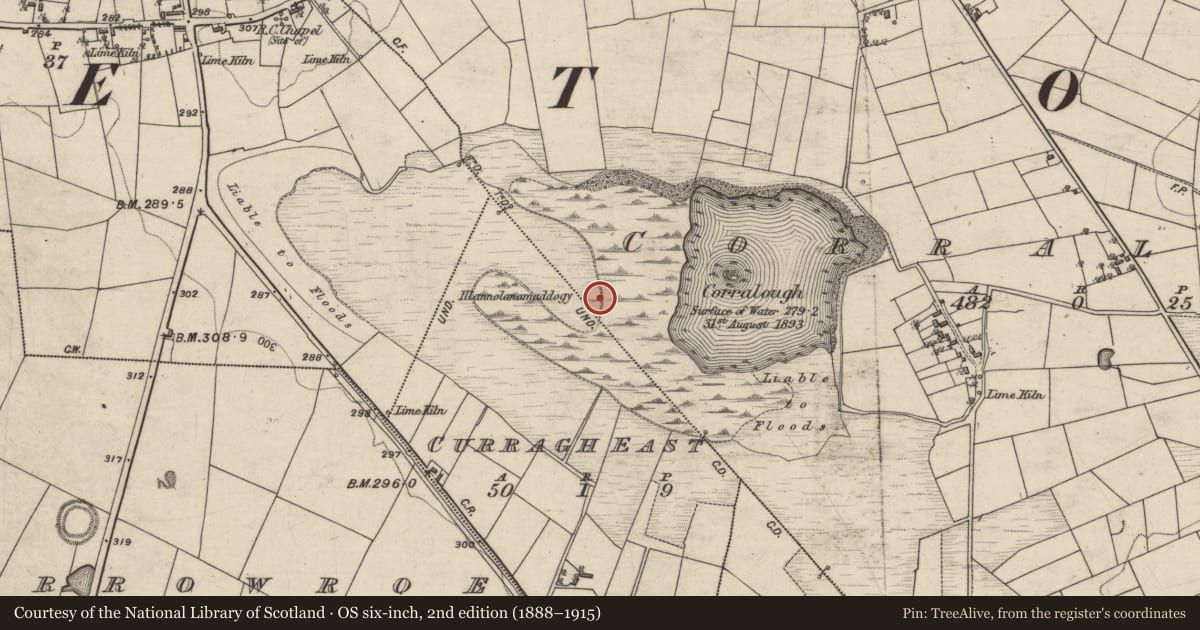 Ordnance Survey six-inch map, 2nd edition (1888–1915) covering the location of Crannog, Corralough, County Galway, with a pin at the register's coordinates