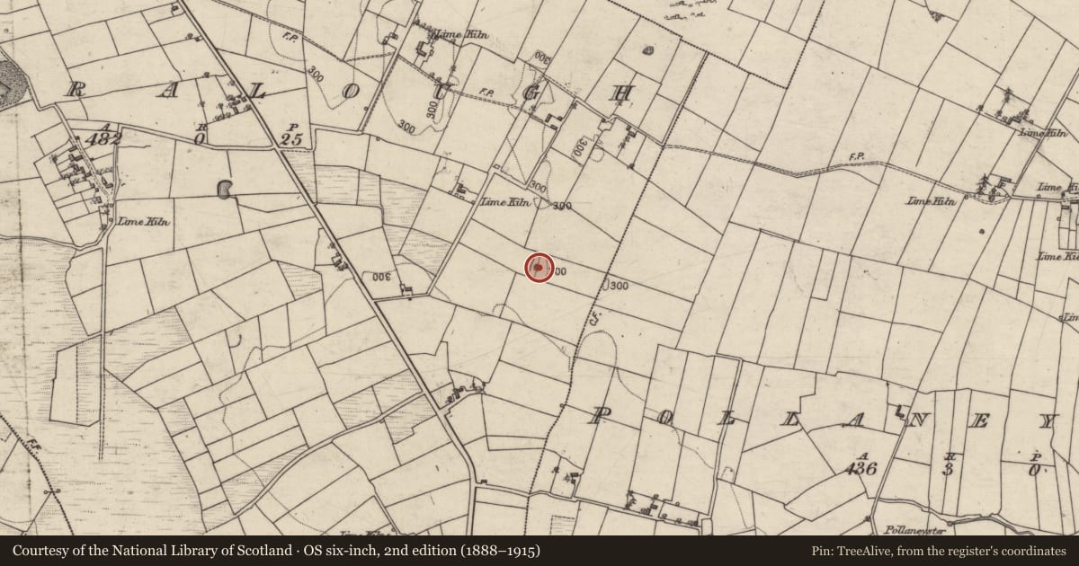 Ordnance Survey six-inch map, 2nd edition (1888–1915) covering the location of Quarry, Corralough, County Galway, with a pin at the register's coordinates
