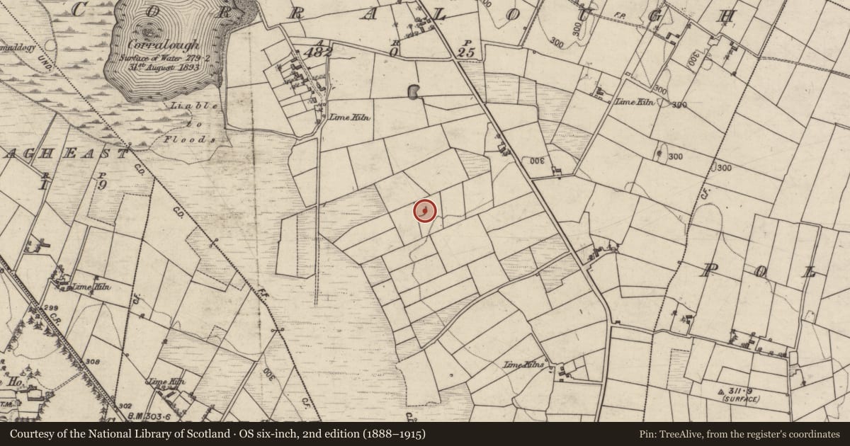 Ordnance Survey six-inch map, 2nd edition (1888–1915) covering the location of Enclosure, Corralough, County Galway, with a pin at the register's coordinates